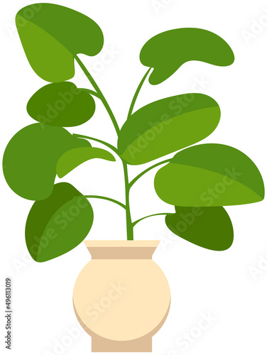 Pot with houseplant isolated at white background. Vector flowerpot of decorative green plant with long leaves in ceramic pot. Indoor plant concept of domestic greenery. Icon for home interior plant