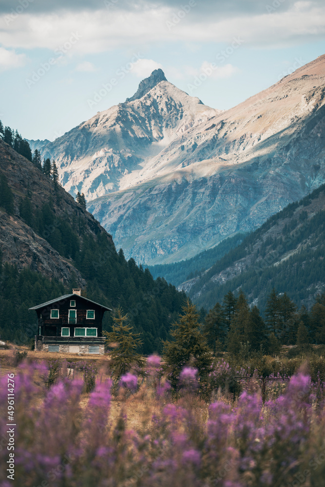 Fototapeta premium house in the mountains