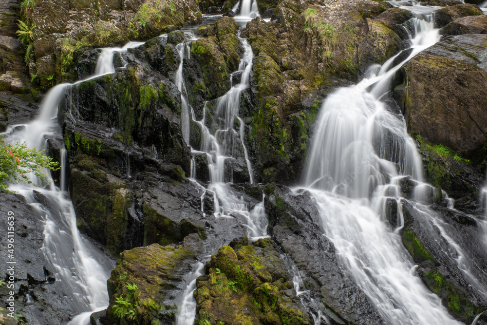 Obraz premium Rhaeadr Ewynnol (Swallow Falls) waterfall, close to the town of Betws-y-Coed. In Snowdonia National Park, north Wales