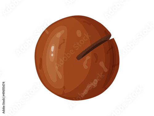 Macadamia nuts. Australian nut, healthy food. Whole and cracked nuts.