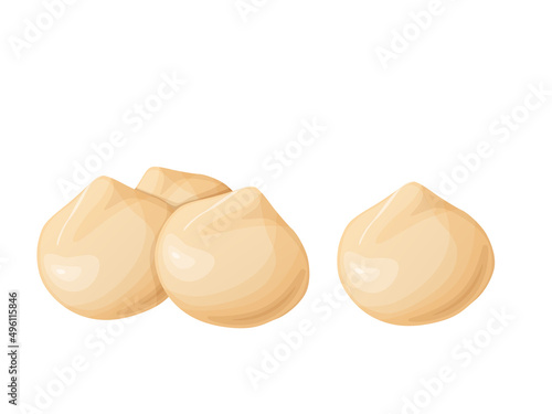 Macadamia nuts. Australian nut, healthy food. Whole and cracked nuts.