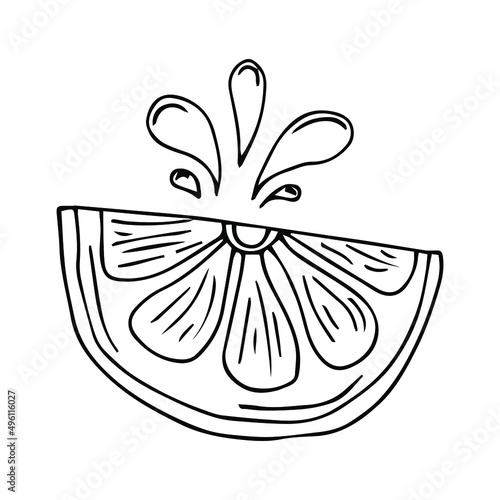 Single element hand drawn lemon slice icon. Vector illustration of doodles for cafes and restaurants, cute postcards and culinary design.