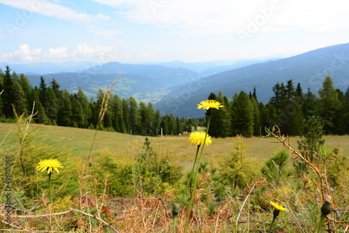 Ausztria Murau