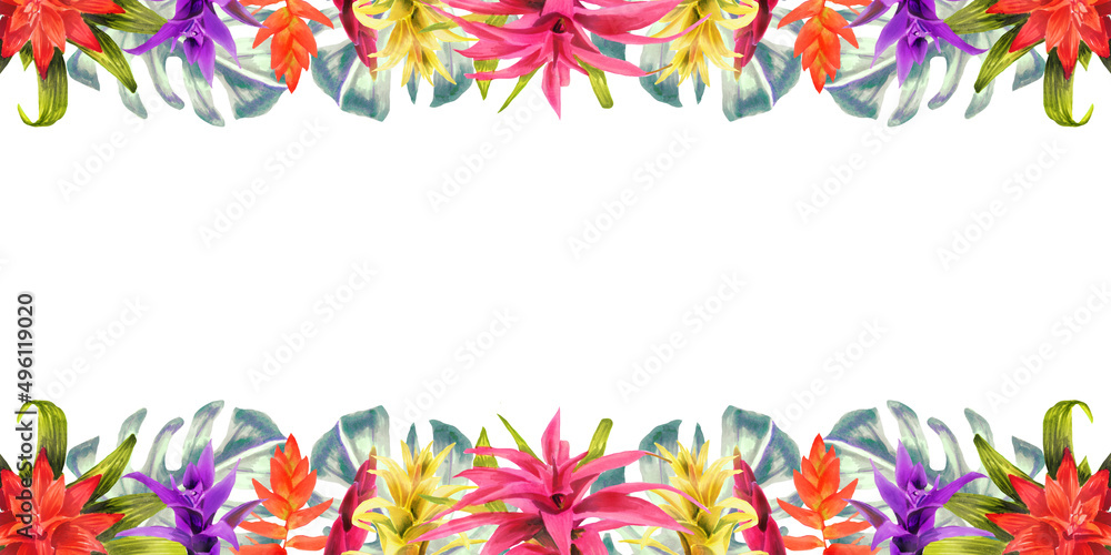 frame of colorful flowers frame of colorful flowers