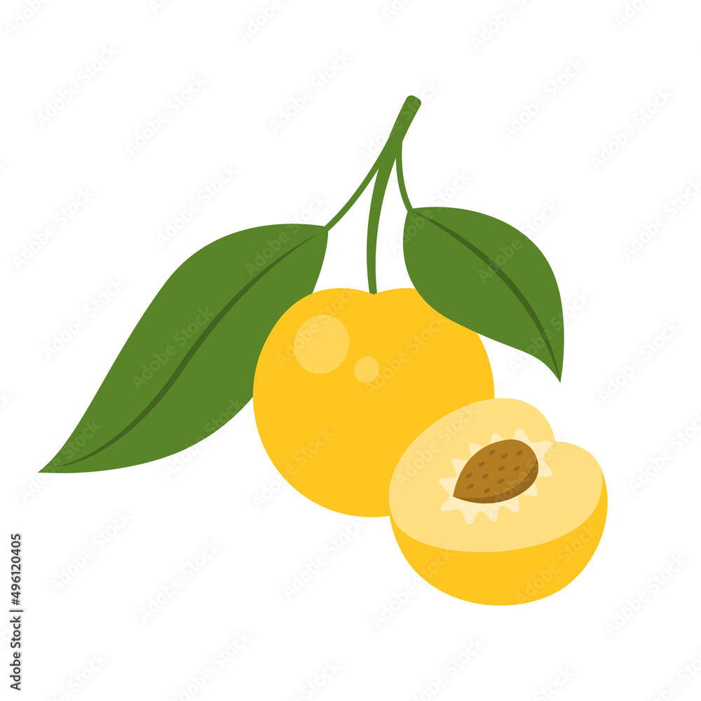 Ταπετσαρία Yellow cherry plum whole fruit and half sliced isolated on white background