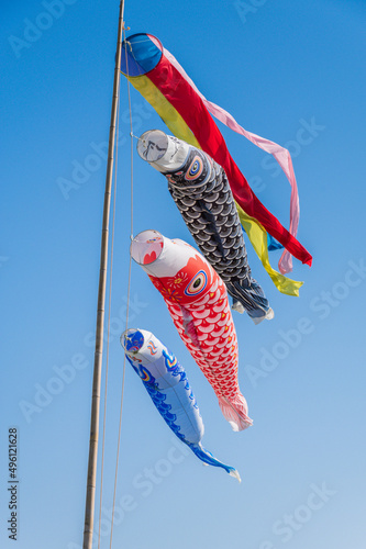 滋賀県野洲市の鯉のぼり