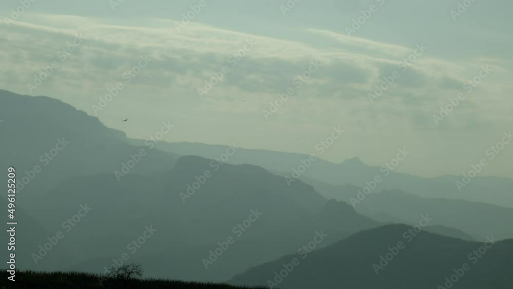 Eagle flying near the clouds in a beautiful valley with mountains full of mist. Eagle flying near the clouds in a beautiful valley with mountains full of mist.