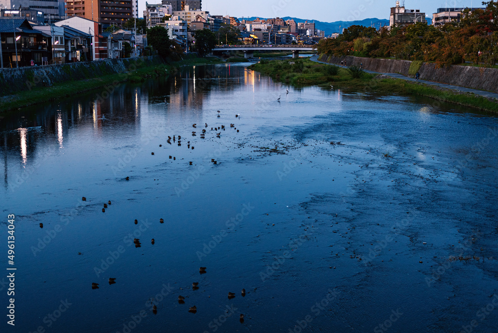 京都 鴨川の夕景