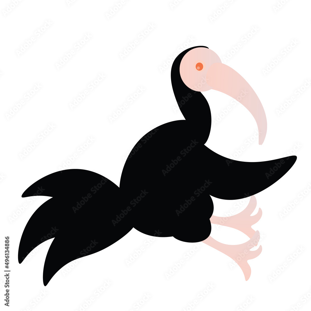dark bird dark bird