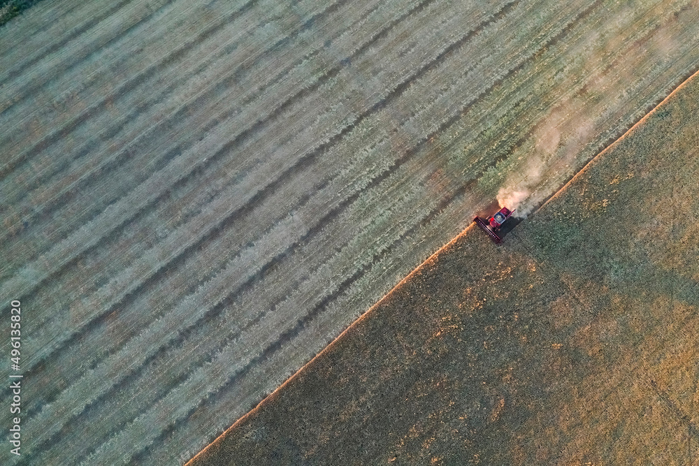 Barley harvest aerial view, in La Pampa, Argentina. Barley harvest aerial view, in La Pampa, Argentina.