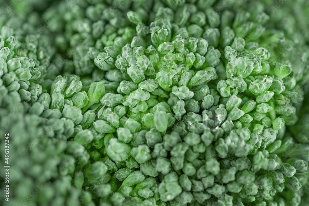 Closeup green broccoli texture. Vegetable surface background