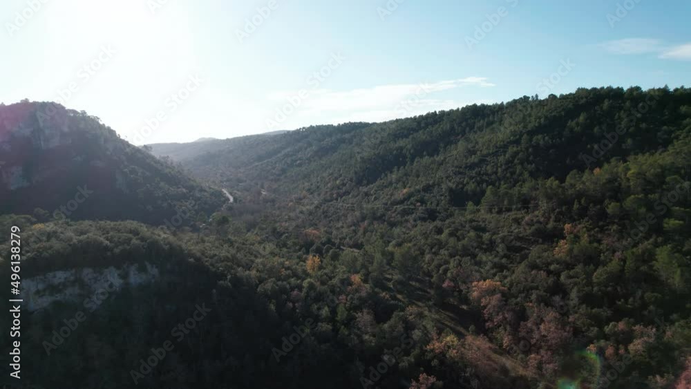 Bird view of a pine forest in south Germany. Forst seen from a drone video during autumn Bird view of a pine forest in south Germany. Forst seen from a drone video during autumn