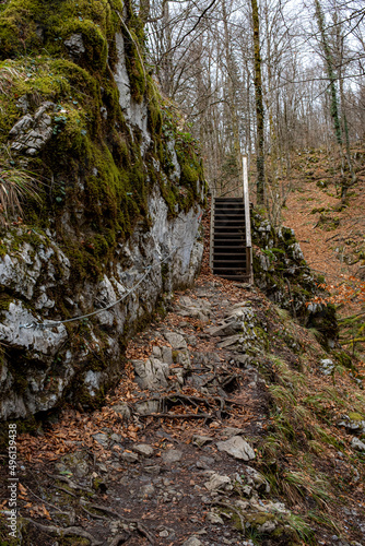 wooden stairs on a mountain road in the woods  early spring
