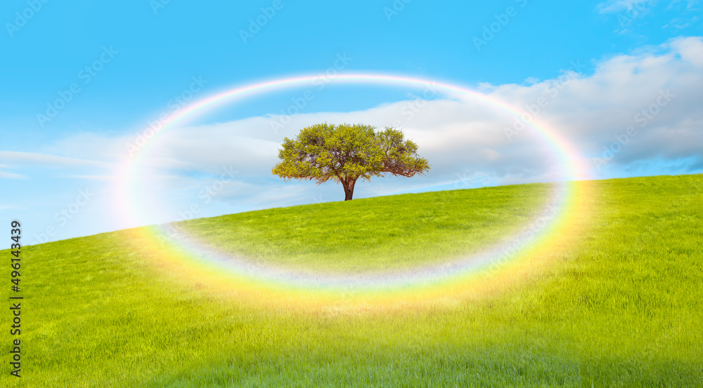 Beautiful landscape with green grass field and lone tree in the background amazing rounded  rainbow