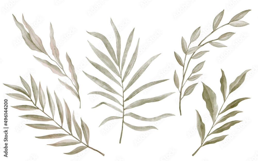 laurel wreath isolated on white laurel wreath isolated on white
