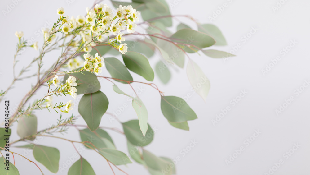 Spring flower composition with sprig with green leaves and white flowers on a light background with copy space. Floral banner of zen nature. Soft image and soft focus style Spring flower composition with sprig with green leaves and white flowers on a light background with copy space. Floral banner of zen nature. Soft image and soft focus style