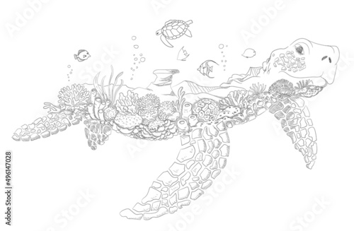 Turtle coral reef fish aquarium drawing sketch template