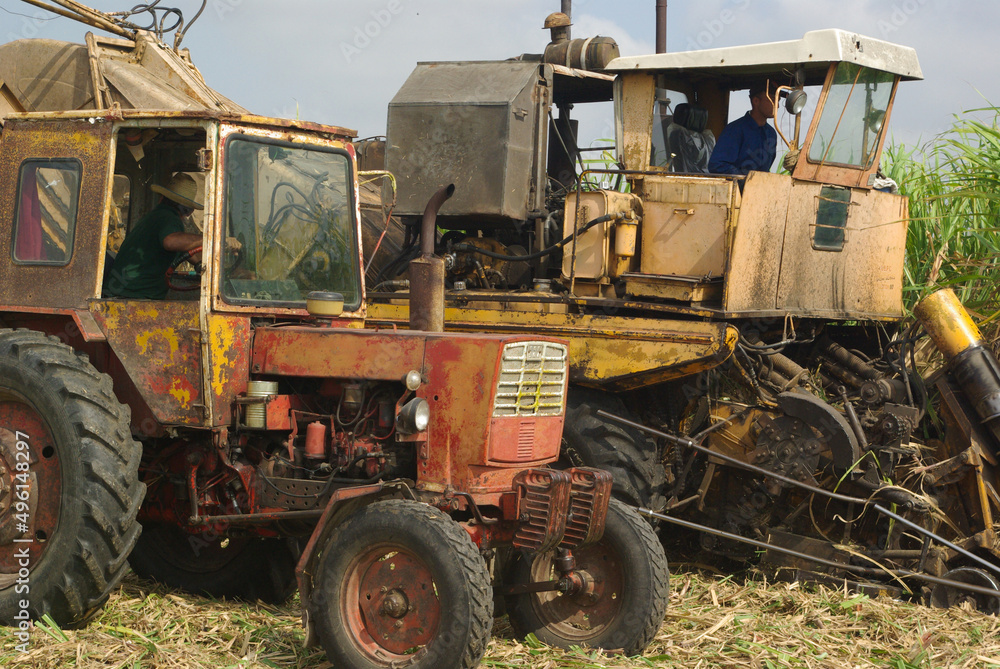 Chambas, Cuba, April 25, 2010. cutting and harvesting sugar cane. Chambas, Cuba, April 25, 2010. cutting and harvesting sugar cane.