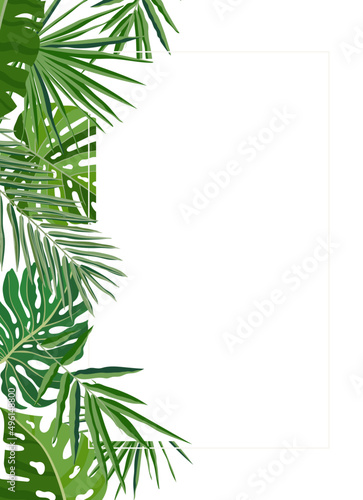 Vertical Background with Exotic Palm Leaves Frame