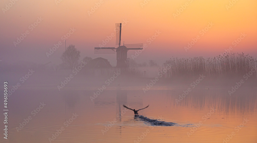 Sunrise in the Green Heart of the Netherlands