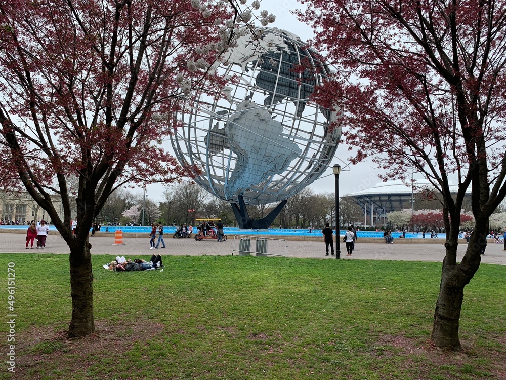 Blooming cherry blossoms surround the Unisphere in Flushing Meadows