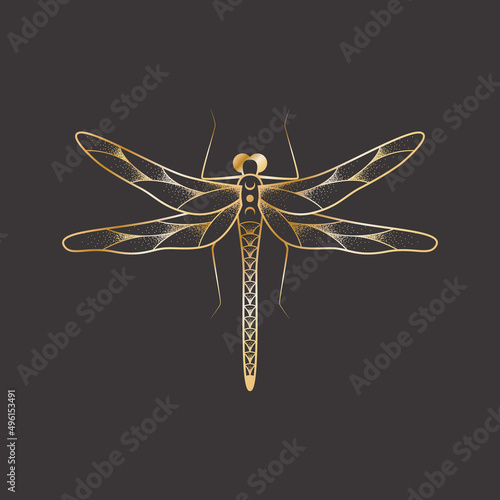 Sketch tattoo of outline insect. Isolated linear vector illustration of dragonfly on a black background. Moth image stylized as angraving