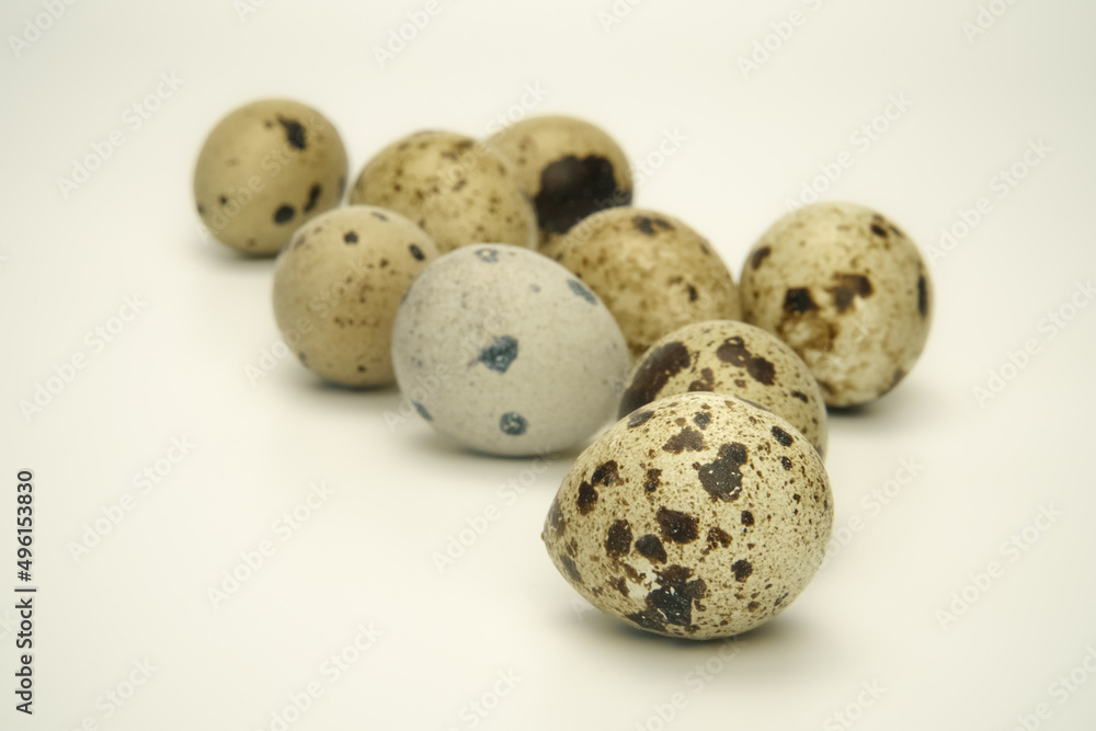 Quail eggs on a pastel hue white background. The speckled eggshells texture in a close-up scene. A scenic still life with a shallow depth of field view.