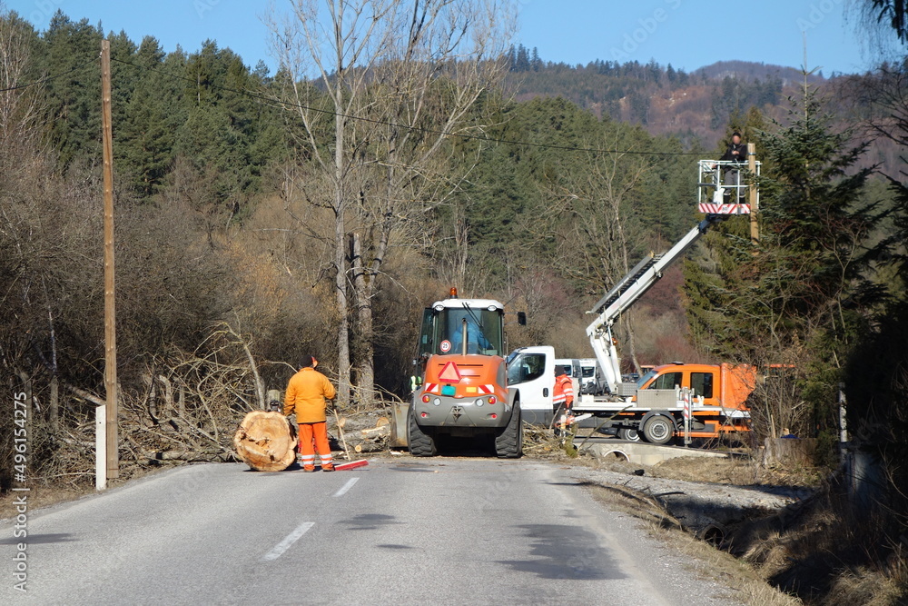 Workers with payloader and truck with hydraulic lifting platform remove a tree fallen on the road. highway work concept Workers with payloader and truck with hydraulic lifting platform remove a tree fallen on the road. highway work concept