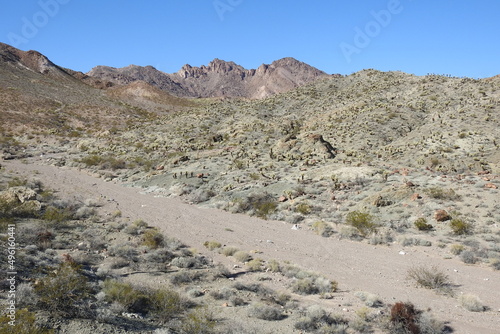 The scenic desert landscape of the Eldorado Mountain wilderness in Clark County, Nevada.