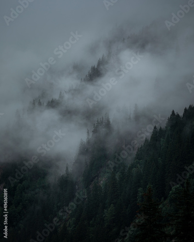 Fog and low clouds on a moody rainy day in the trees in the mountains.