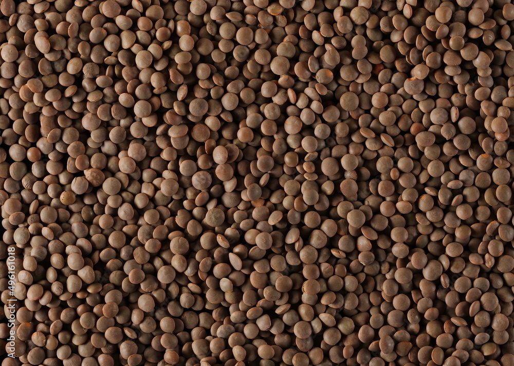 Brown uncooked lentils texture and background Brown uncooked lentils texture and background