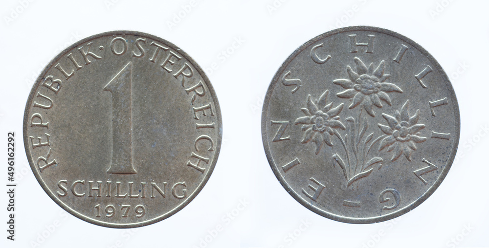 custom made wallpaper toronto digitalAustria - circa 1979: a 1 Schilling coin of Austria showing the flowering plant Alpine Edelweiss, Leontopodium nivale. Text: Republic of Austria
