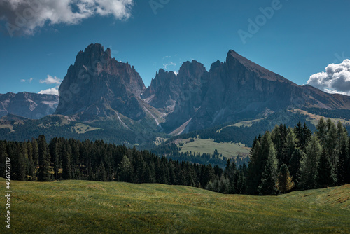 Meadows at Alpe di Siusi during summer with view to mountains of Plattkofel and Langkofel in the Dolomite Alps in South Tyrol, Italy.