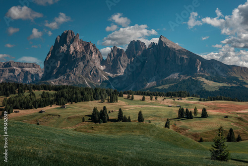 Meadows at Alpe di Siusi during summer with view to mountains of Plattkofel and Langkofel in the Dolomite Alps in South Tyrol, Italy.