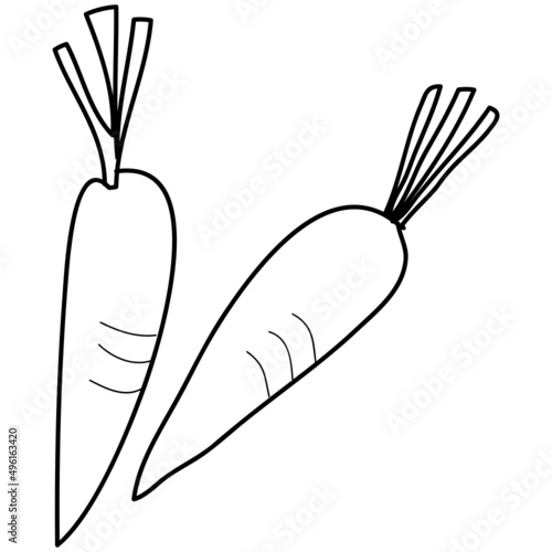 carrot hand drawing