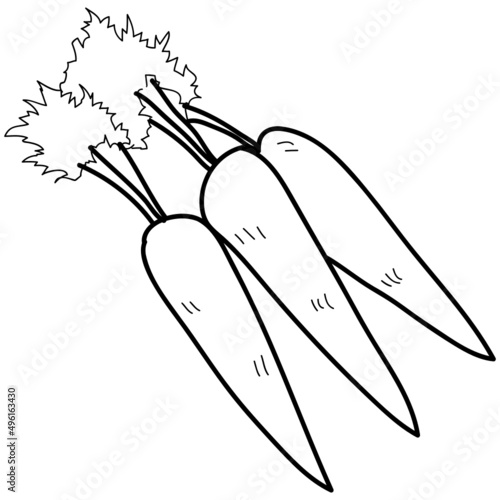 radish hand drawing