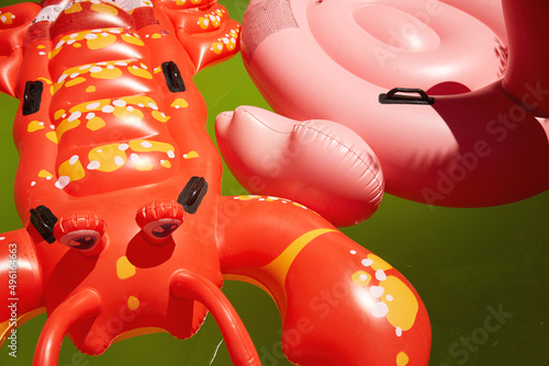 Fotografie close up of a crap and flamingo floaty in a swimming pool