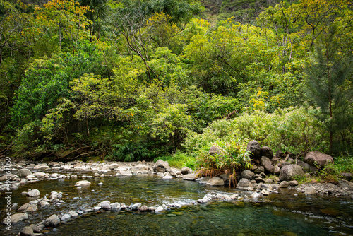 Landscape with tranquil pools of water in a river beneath a lush  green tropical forest depicting concepts of peace  calm  wellness  relaxation - Iao Valley  Maui