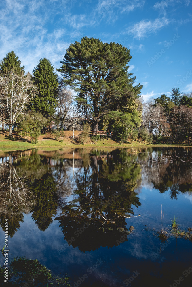 Beautiful view of lake in the green forest with reflection of the blue sky and forest trees, Valdivia, Chile Beautiful view of lake in the green forest with reflection of the blue sky and forest trees, Valdivia, Chile