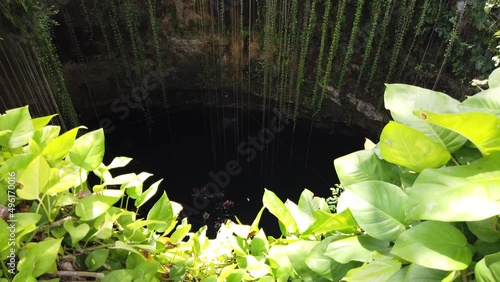 Cenotes are underground natural pools and sacred Mayan ceremonial spaces. Today these cave-like swimming pools provide the most perfect way to cool off and escape the heat of the sun in Yucatan, Mexic photo