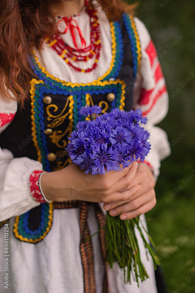 hands in traditional belarus clothing with cornflowers hands in traditional belarus clothing with cornflowers