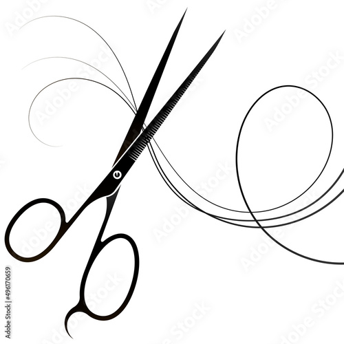 Design for beauty salon and barbershop. Scissors and curl of hair