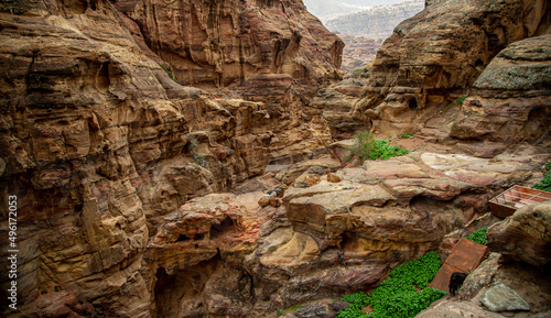 Herd of mountain goats in Petra Jordan
