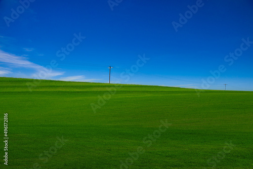 Green grass and blue sky with white clouds,