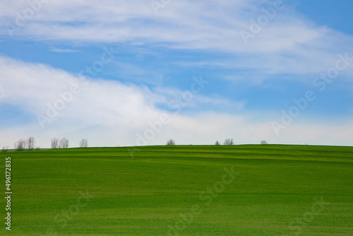 Green grass and blue sky with white clouds,