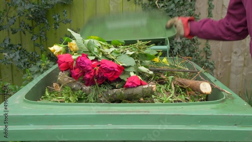 A person’s gloved hands throwing some dead flowers on the very top of green waste in a full wheely bin, then closing the lid and pressing it down. photo