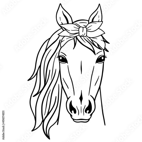 Fototapeta Naklejka Na Ścianę i Meble -  Vector silhouette of a horse's head. Wild Animals. Horse head with Bandana. Good for posters, t shirts, postcards.
