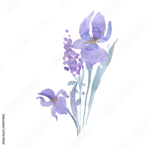 Fototapeta Naklejka Na Ścianę i Meble -  Delicate purple irises, a bouquet of flowers.
