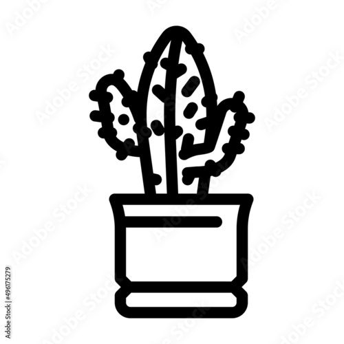 euphorbia acrurensis line icon vector. euphorbia acrurensis sign. isolated contour symbol black illustration