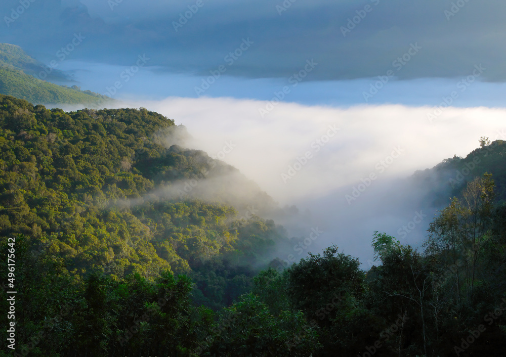 Landscape of the mist covered Mountain in the morning with warmed sun beams for background wallpaper